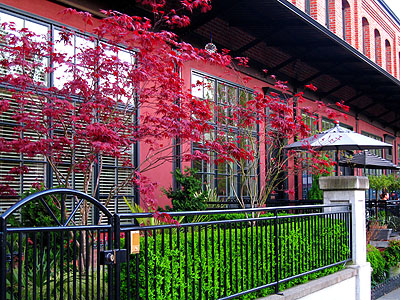 Pearl District Townhouses