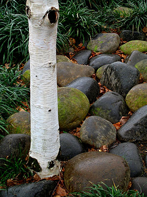 Planting, Jamison Park