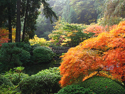 Portland Japanese Gardens