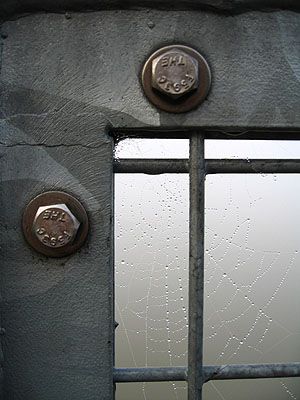 Railing and Spider Web, Portland, Oregon, December 2006