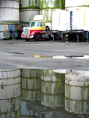 Reflections, Darigold Compound 2