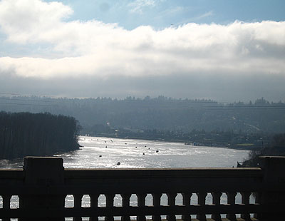 Ross Island Bridge, View to the South