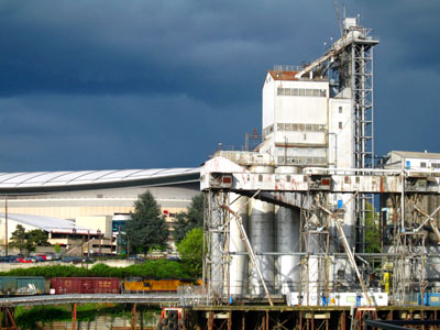 Ship Loading Docks, Train