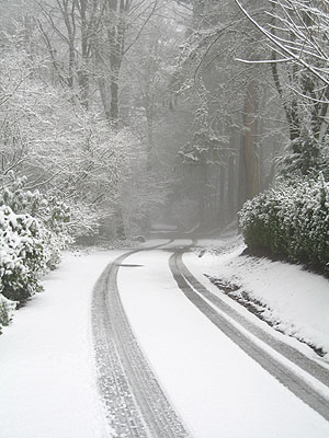 Snowy Street