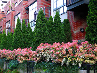 Spring Blooms, Townhouses 1