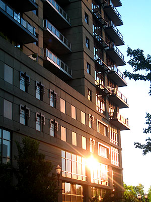 The Henry