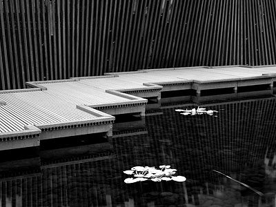 The Wall, Tanner Springs Park 8