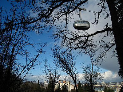 Tram and Downtown 2