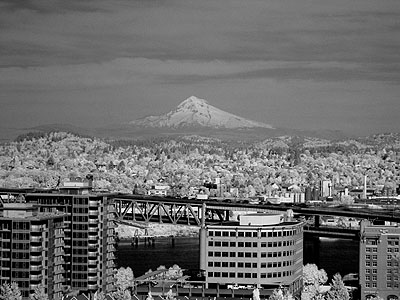 Waterfront Buildings, Marquam Bridge, Mt Hood