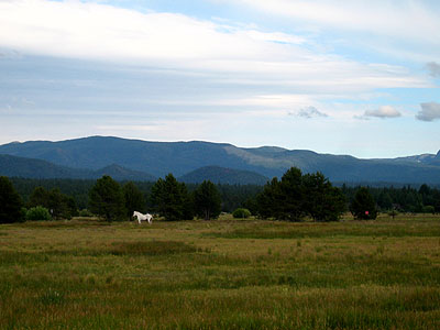 White Horse