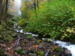 Oregon Waterfalls Gallery