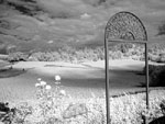 Infrared B+W Gallery